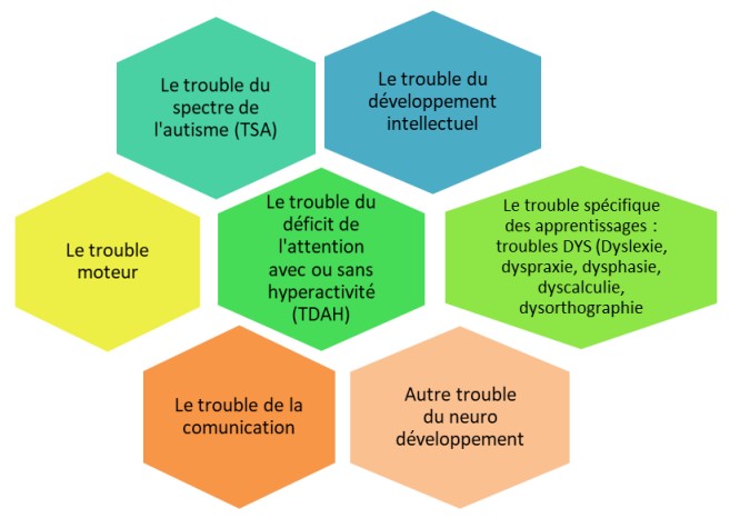 Formation en Troubles du Spectre Autistique (TSA)